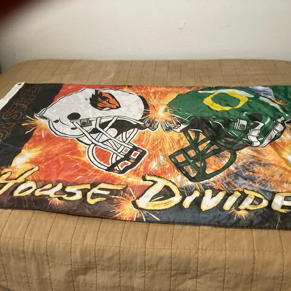 House Divided Sports Flag